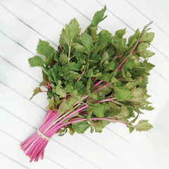 Chinese Pink Celery