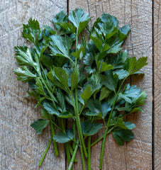 Amsterdam Cutting Leaf