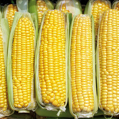 Damaun Corn