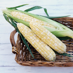 Sweetness Corn