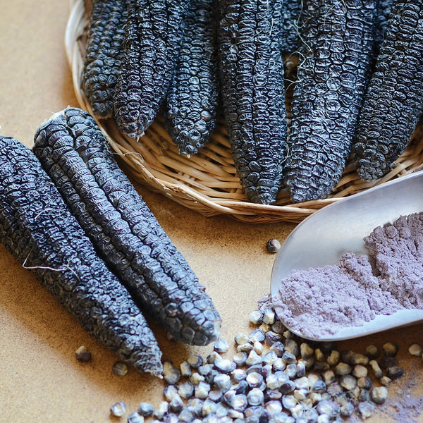 Hooker's Sweet Indian Corn