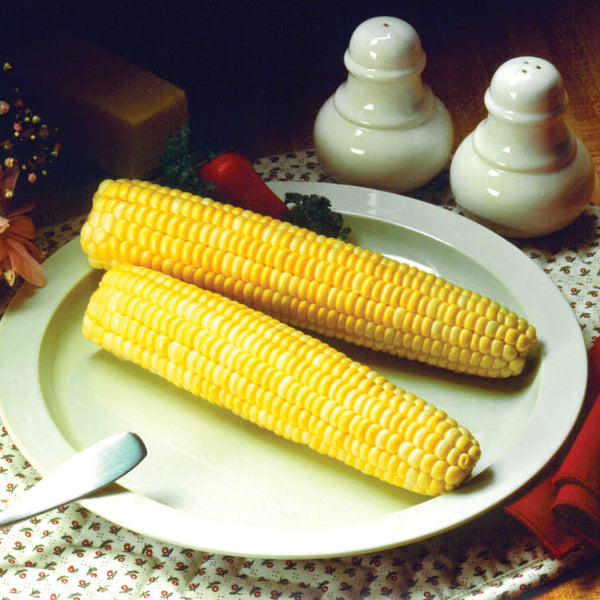 Honey & Cream Corn