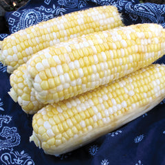 Delectable Corn