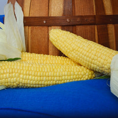 Café Corn
