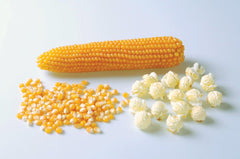 Caramel Crisp Popcorn F1