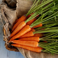 Kuroda Improved Carrot