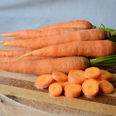 Bolero Carrot