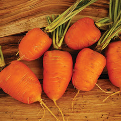 Oxheart Carrot