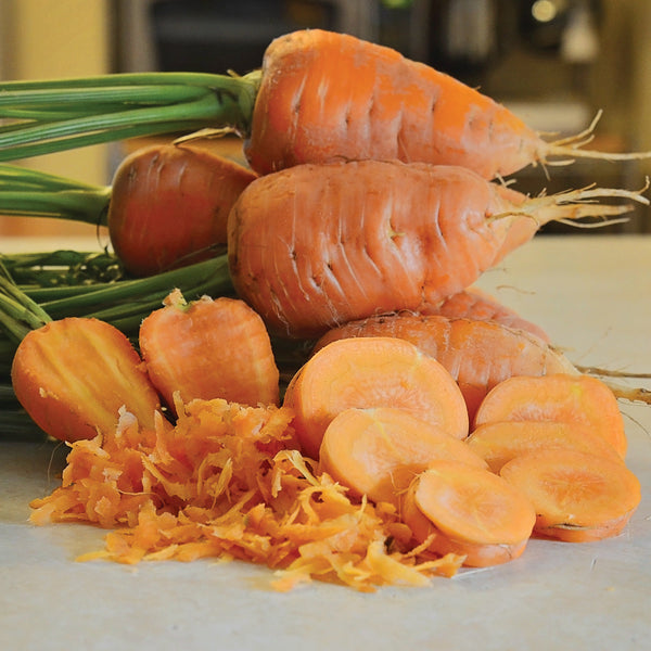 Oxheart Carrot