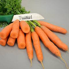 Yaya Carrot