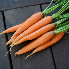 Romance Carrot