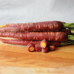 Purple Elite Carrot