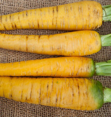 Yellowstone Organic