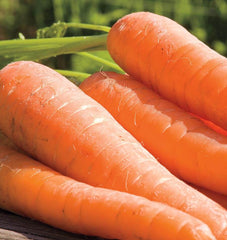 Yaya F1 Organic