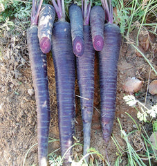Deep Purple F1