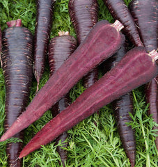 Deep Purple F1