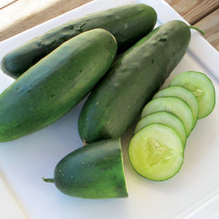 Raider Cucumber