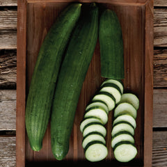 Pepinex Cucumber