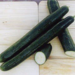 Pepinex Cucumber