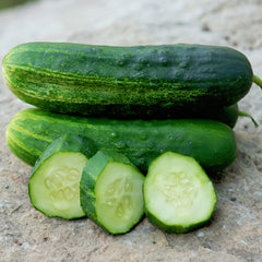 Wautoma Cucumber