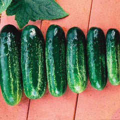 Homemade Pickles Cucumber