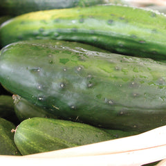 Homemade Pickles Cucumber