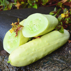 Martini Cucumber