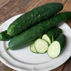 Paraiso Cucumber