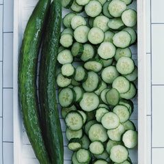 Dragon Suhyo Cross Cucumber