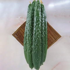 Dragon Suhyo Cross Cucumber