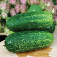 Provision Cucumber
