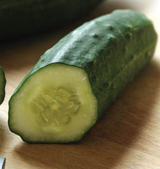 Patio Snacker F1