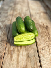 Mini-Me F1 Organic
