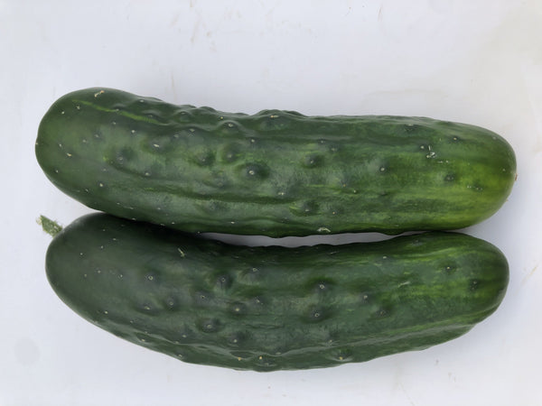 Marketmore 76 Organic