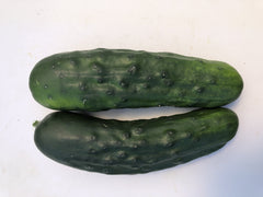 Marketmore 76 Organic