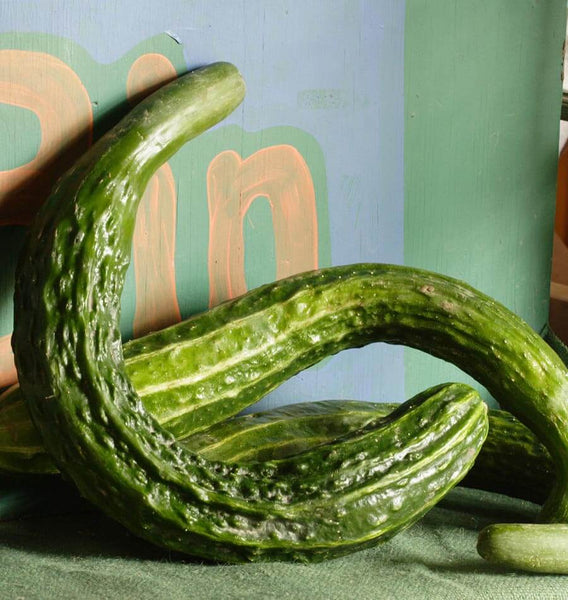 Suyo Long Organic