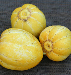 Lemon Cucumber