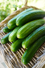 Manny F1 Organic