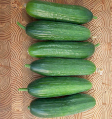 Picolino F1 Organic