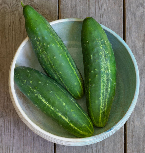Early Fortune Organic