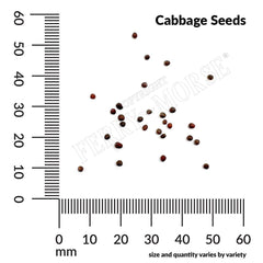 Cabbage, Copenhagen Market Early Seeds, 1.1g