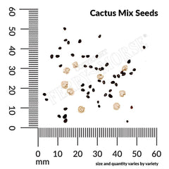 Cactus, Mixed Varieties Seeds, 300mg