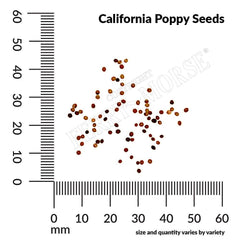 California Poppy, Extra Golden Seeds, 800mg