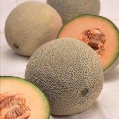 Cantaloupe, Hale's Best Jumbo Seeds, 3.5g