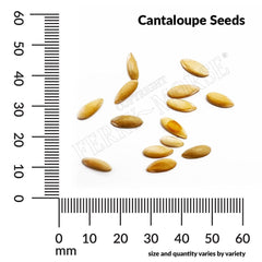Cantaloupe, Hearts of Gold Organic Seeds, 2.1g
