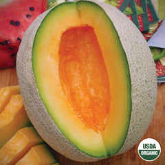 Cantaloupe, Sierra Gold Organic Seeds, 2.1g