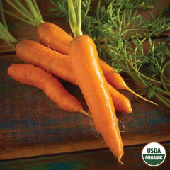 Carrot, Red Cored Chantenay Organic Seeds, 1.3g