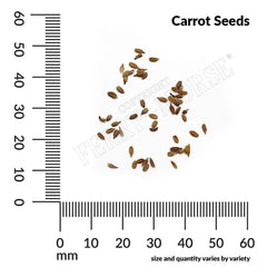 Carrot, Rainbow Mix Organic Seeds, 1.3g