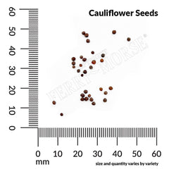 Cauliflower, Snowball Y Organic Seeds, 700mg