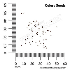 Celery, Tall Utah Organic Seeds, 400mg